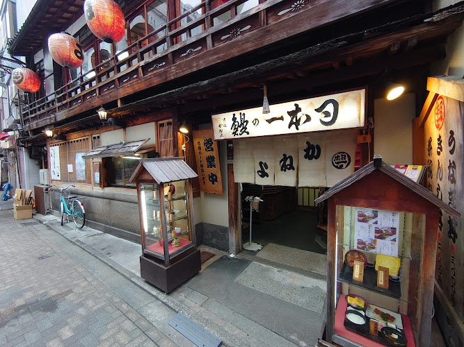Kyogoku Kaneyo