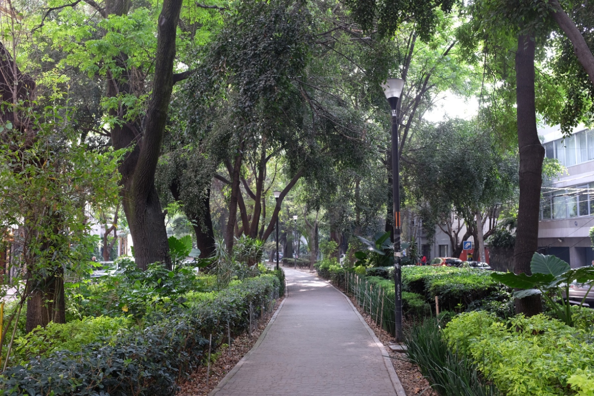 La Condesa