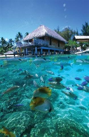 Lady Bora Bora