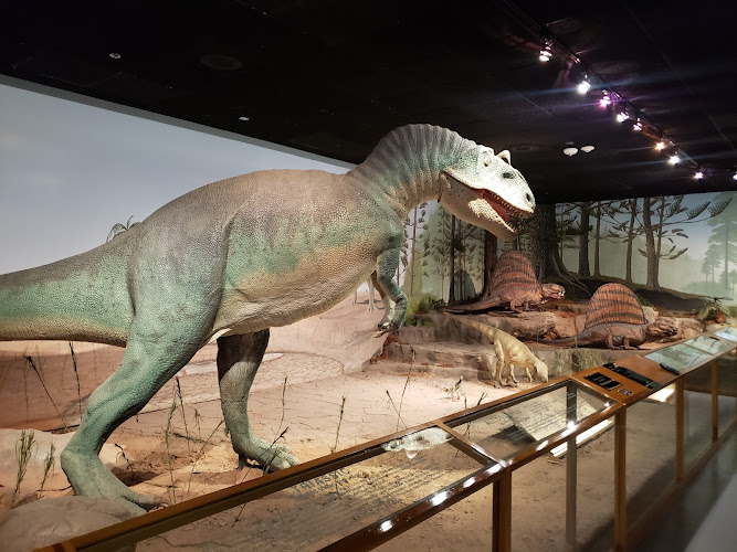 Las Vegas Natural History Museum
