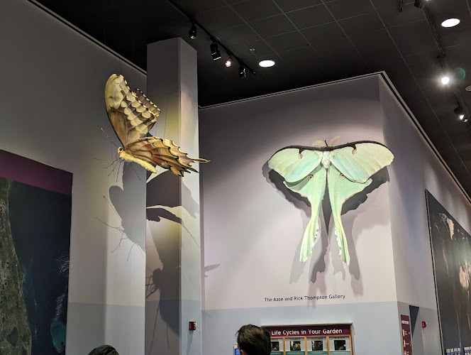 McGuire Center for Lepidoptera & Biodiversity