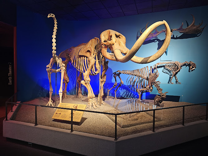 Milwaukee Public Museum