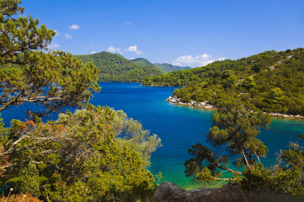 Tranquil lake nestled in the island of Mljet, Croatia, bordered by vibrant trees and a bright blue sky