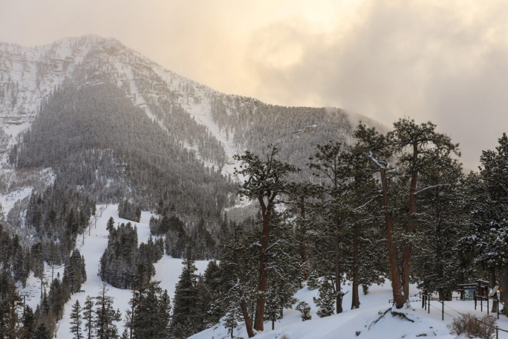 Winter heavy snow in Mt Charleston mountains, Nevada