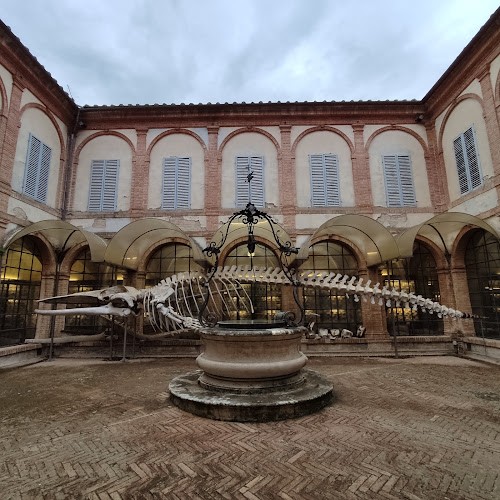 Musei dell’Accademia dei Fisiocritici