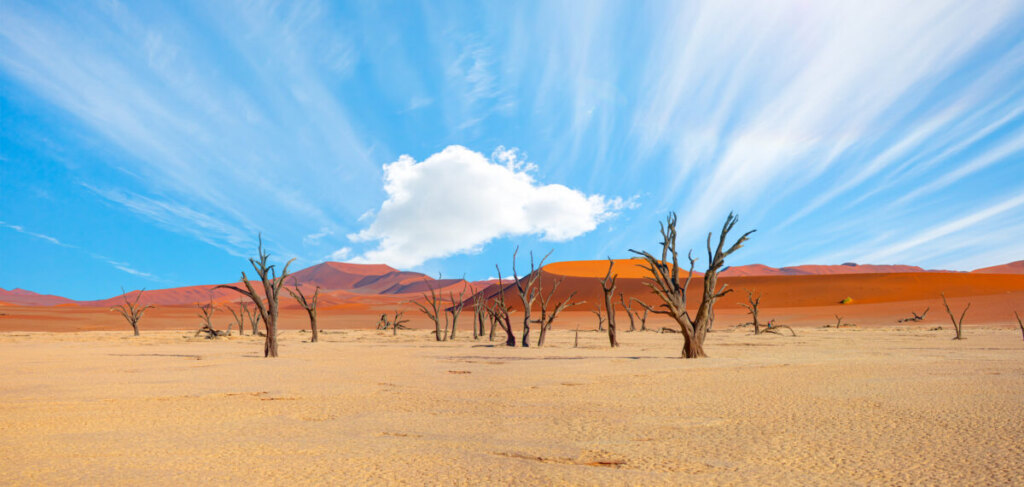 Dead trees in Dead Vlei with amazing cloudy sky - Sossusvlei, Namib desert, Namibia