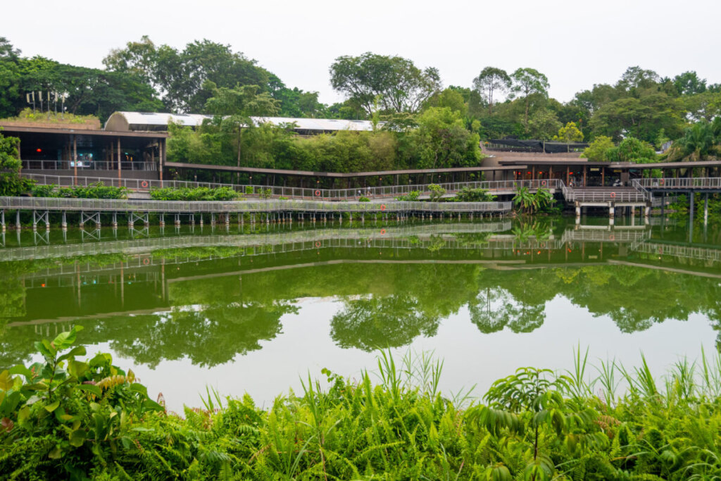 Zoo of Night Safari in Singapore
