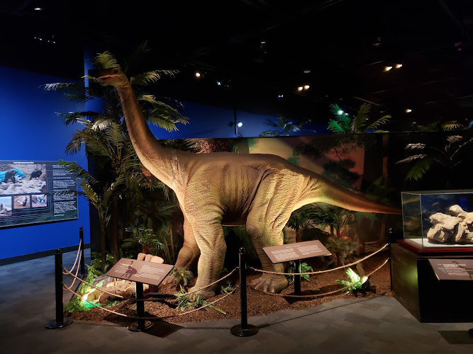Origen Museum