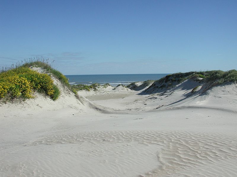 Padre Island National Seashore: A pristine coastal haven with sandy shores, dunes, and diverse wildlife along the Gulf of Mexico.