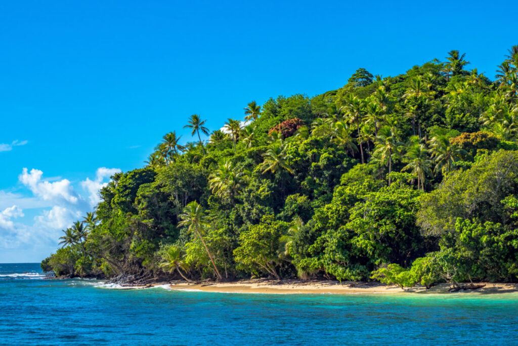 Tropical jungle on a remote island in Papua New Guinea, with lush vegetation and exotic landscapes
