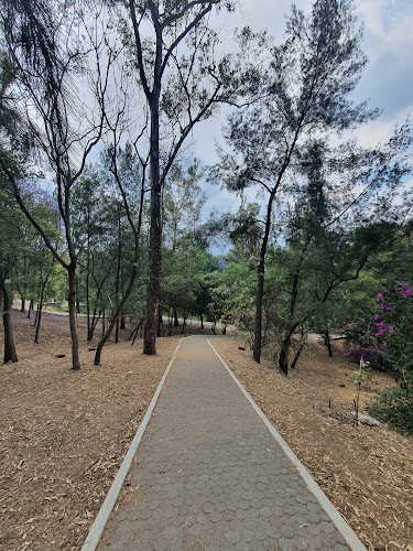 Parque alpes