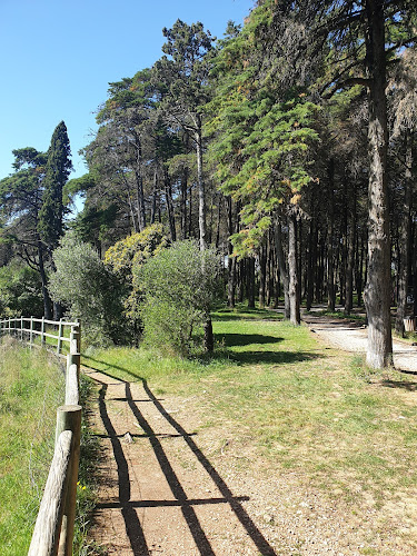Parque da Pedra