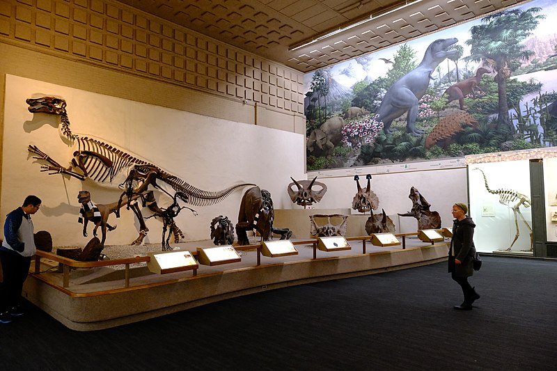 Discover the wonders of the natural world at the Peabody Museum of Natural History in New Haven, featuring diverse exhibits, fossil collections, and interactive displays.