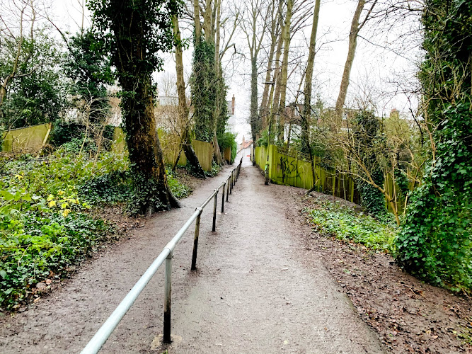 Queen’s Wood