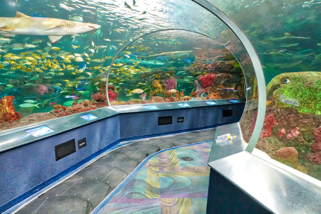 Scenic underwater  tunnels in Ripley’s Aquarium, Toronto, Canada