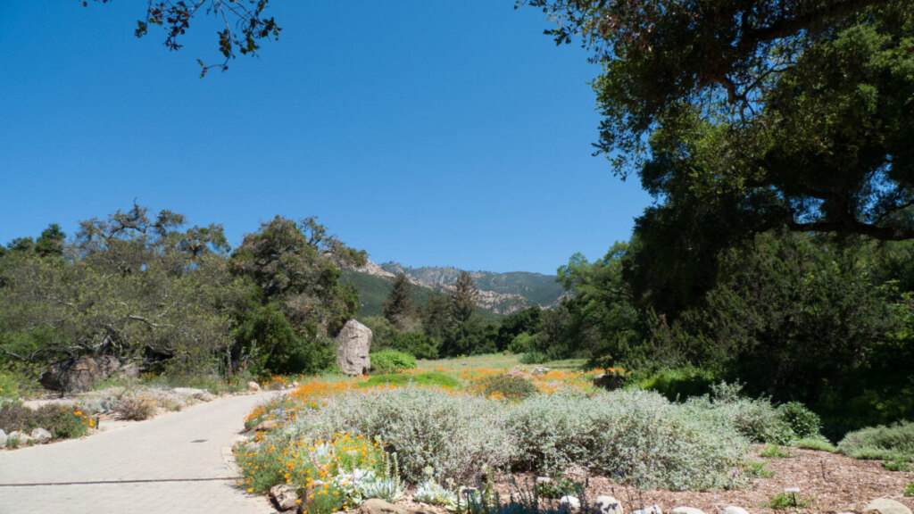 Walking path and trail in Santa Barbara Botanical Garden, Santa Barbara, California
