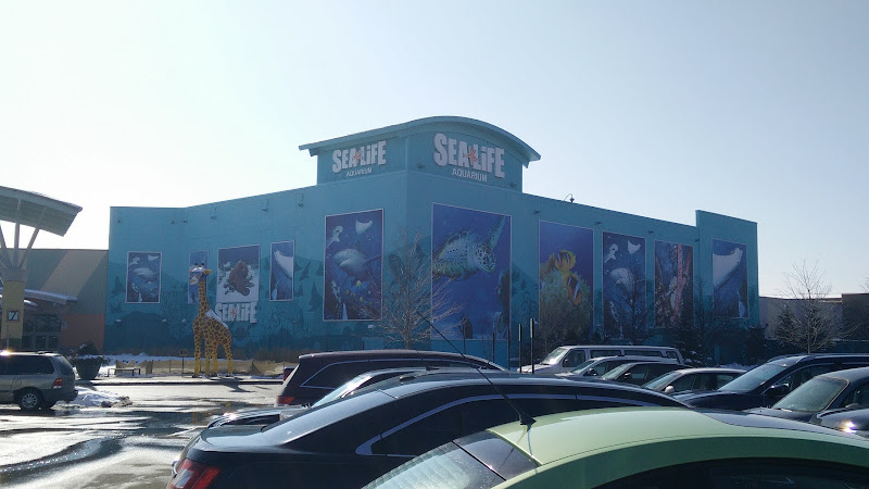 SEA LIFE Michigan Aquarium