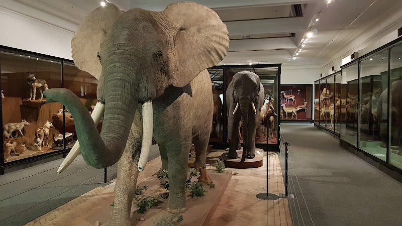 South African National Gallery