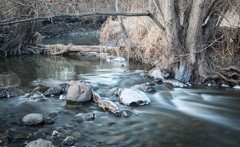 Springbrook Prairie