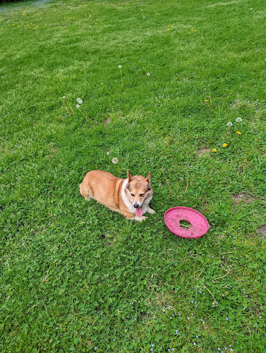 St. Joseph dog park