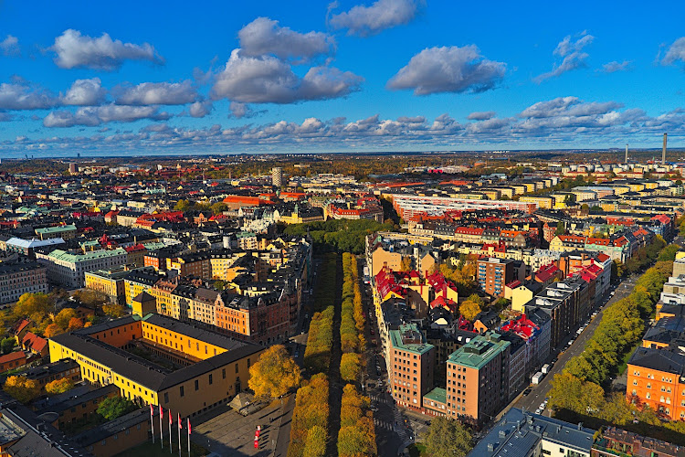 Swedish History Museum