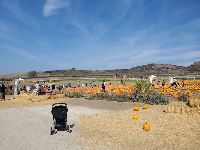 Tanaka Farms