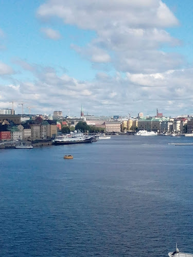 The Viking Museum