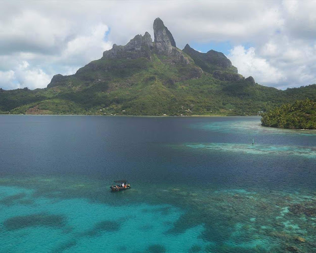 Tohora Bora Bora Snorkeling Lagoon Tours & Whale Watching