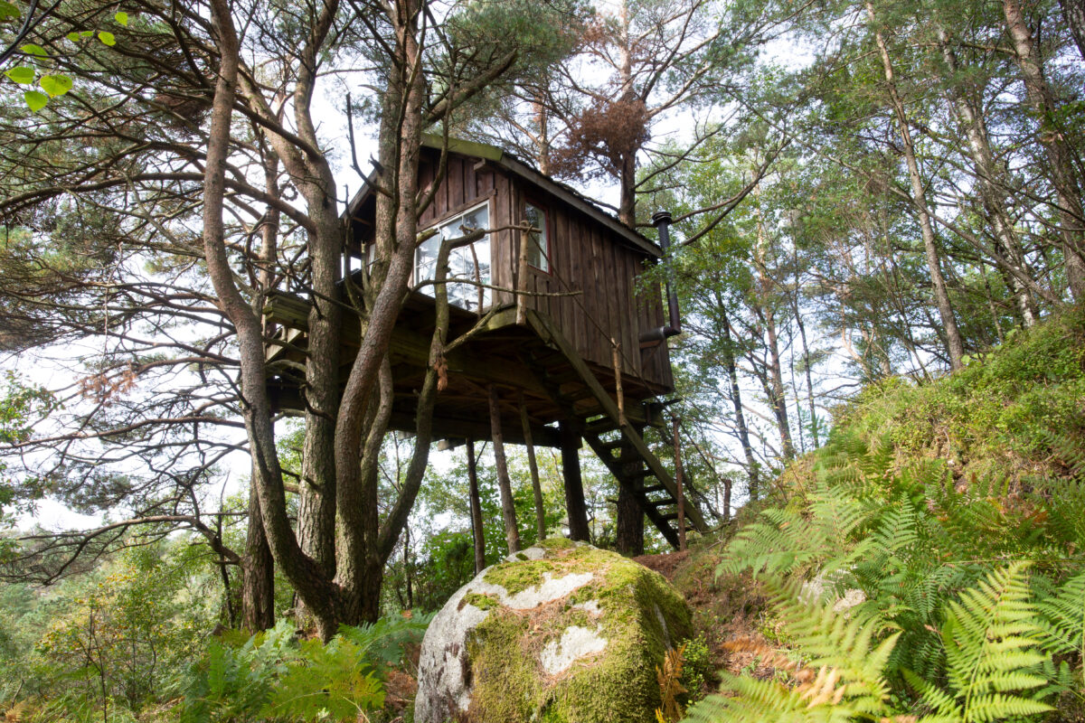 Top 6 Treehouse Stays Around the World for an Unforgettable Experience