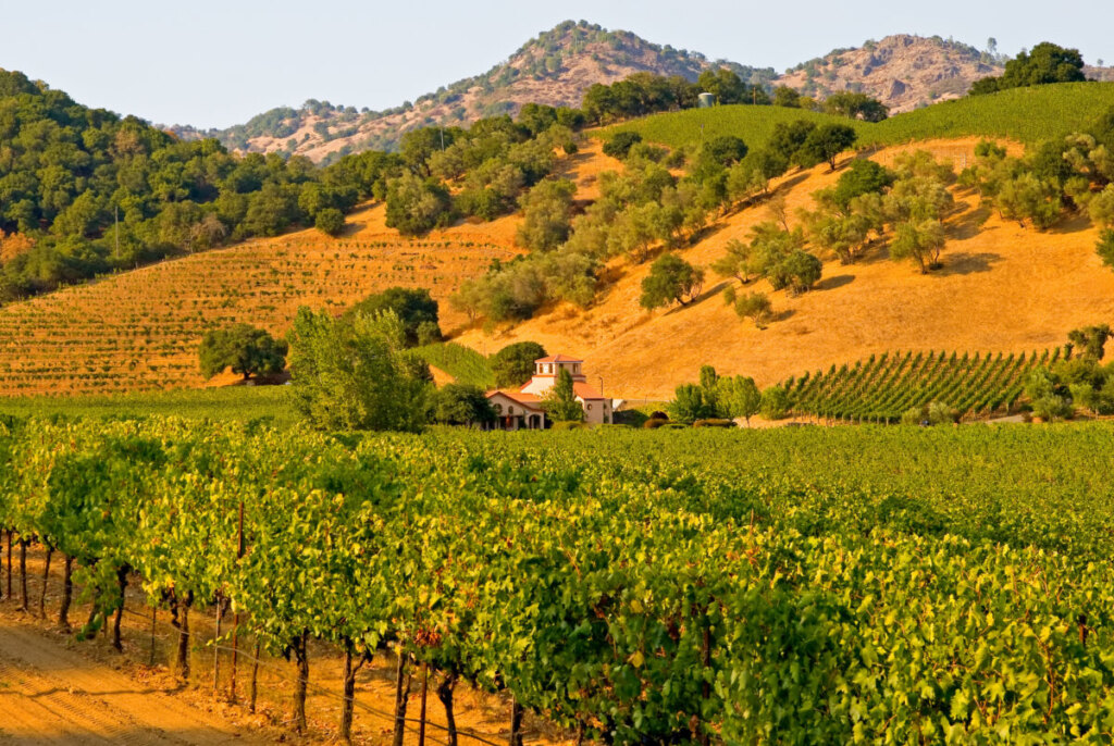 Sunset view of the vineyards and mountains in Napa Valley, California