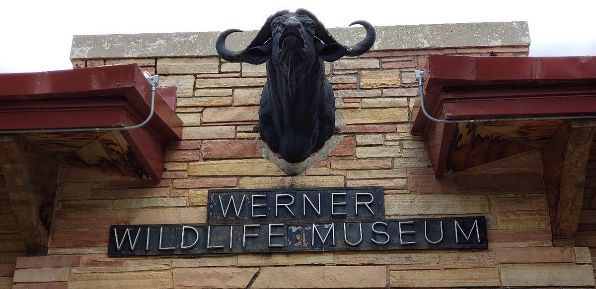 Werner Wildlife Museum At Casper College