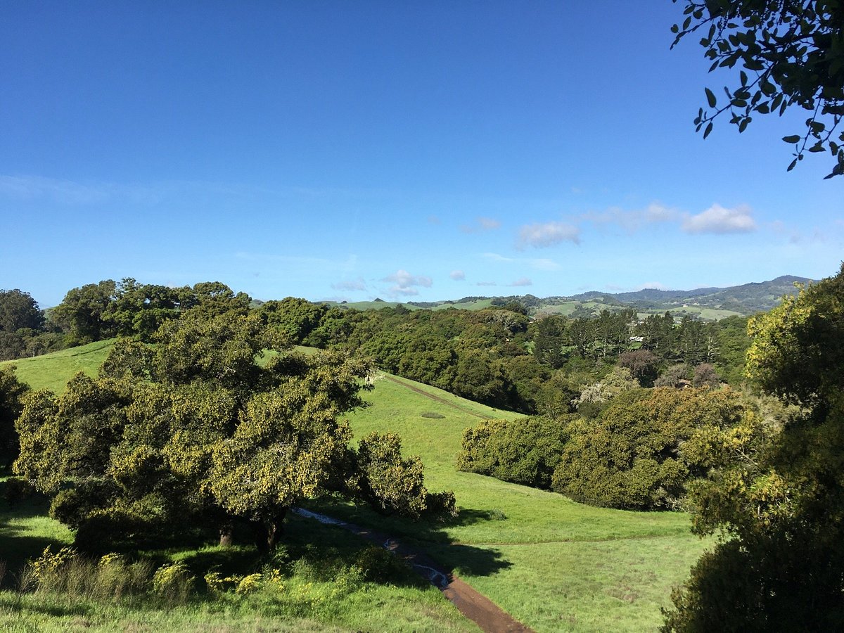 View of Westwood Hills Park in Napa, California