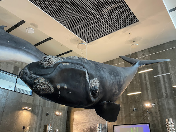 Whaling Museum of Madeira
