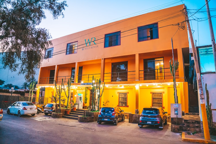 Wild Rover Huacachina