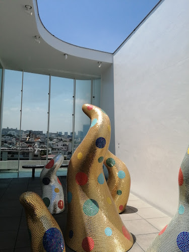 YAYOI KUSAMA Museum