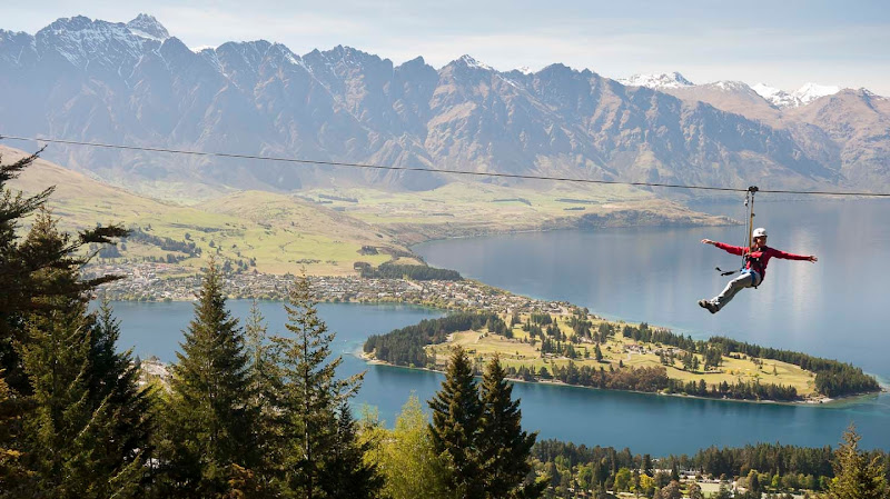 Ziptrek Ecotours